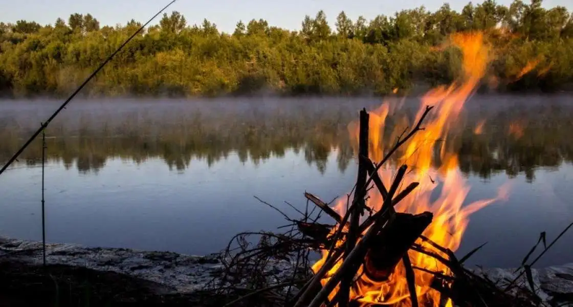 fire.webp