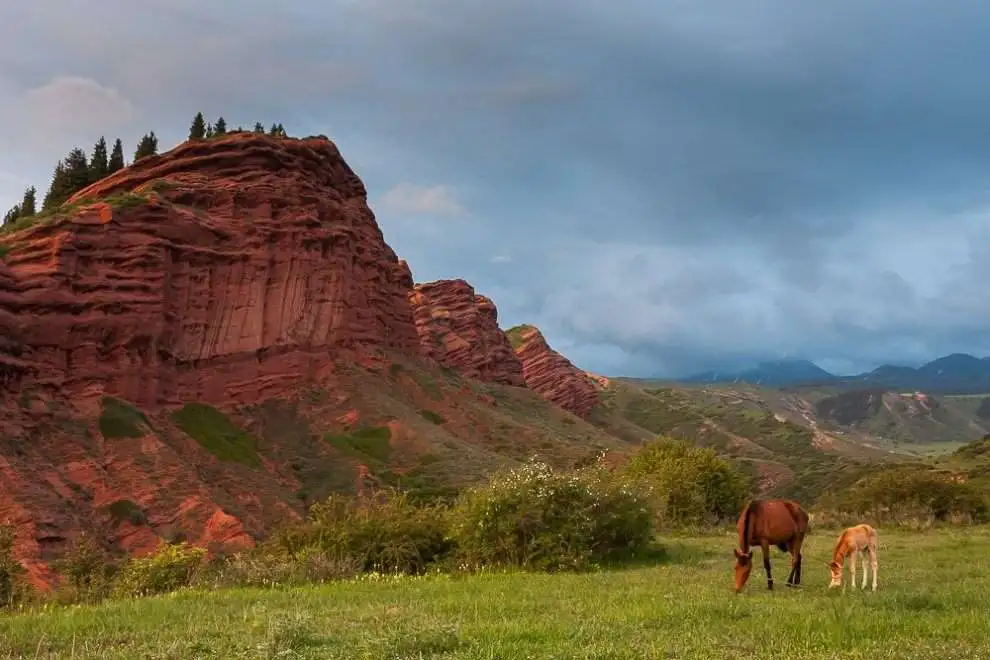 jetyOguzHorses.webp